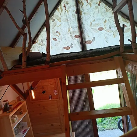 Aurora Tara 3 Zaovine