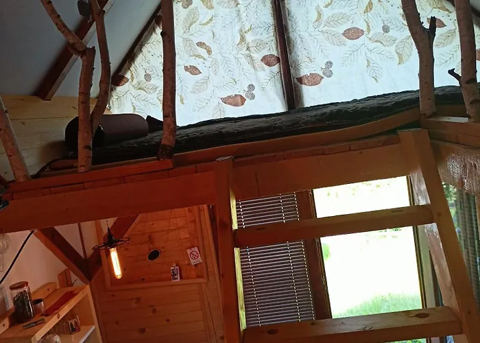 Aurora Tara 3 Zaovine